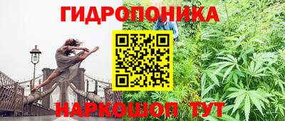 хмурый Гусев